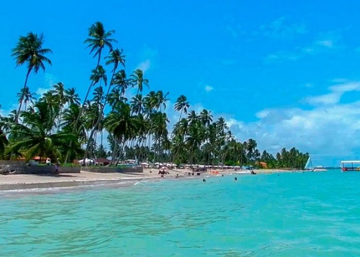 ponta-do-mangue-maragogi